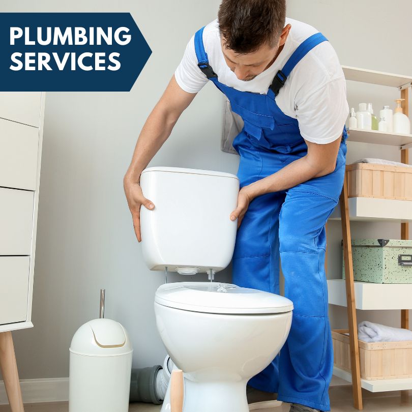 Plumbing Company in Willards, MD